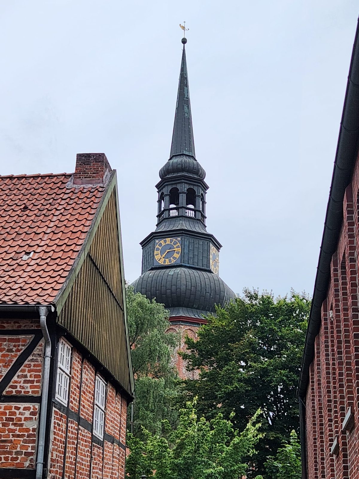 Der Cosmae-Turm über den Dächern der Altstadt