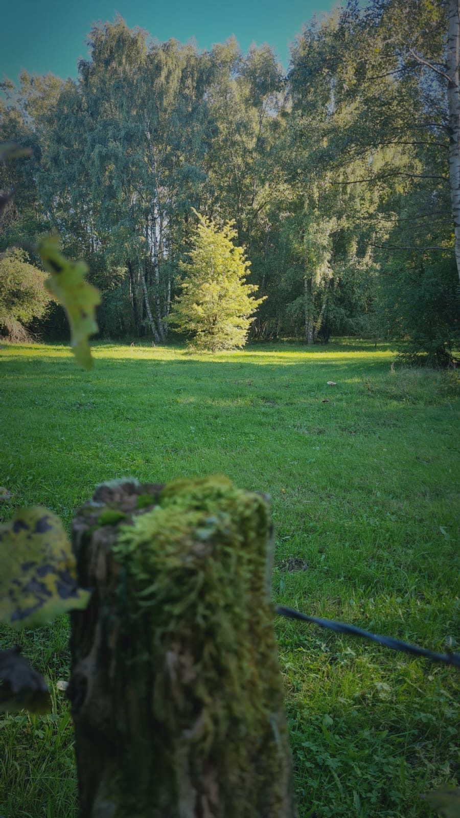 Schöner Blick