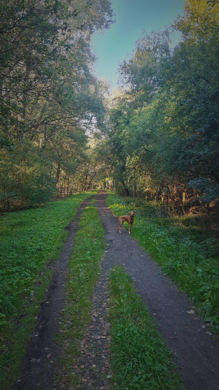 Durchweg