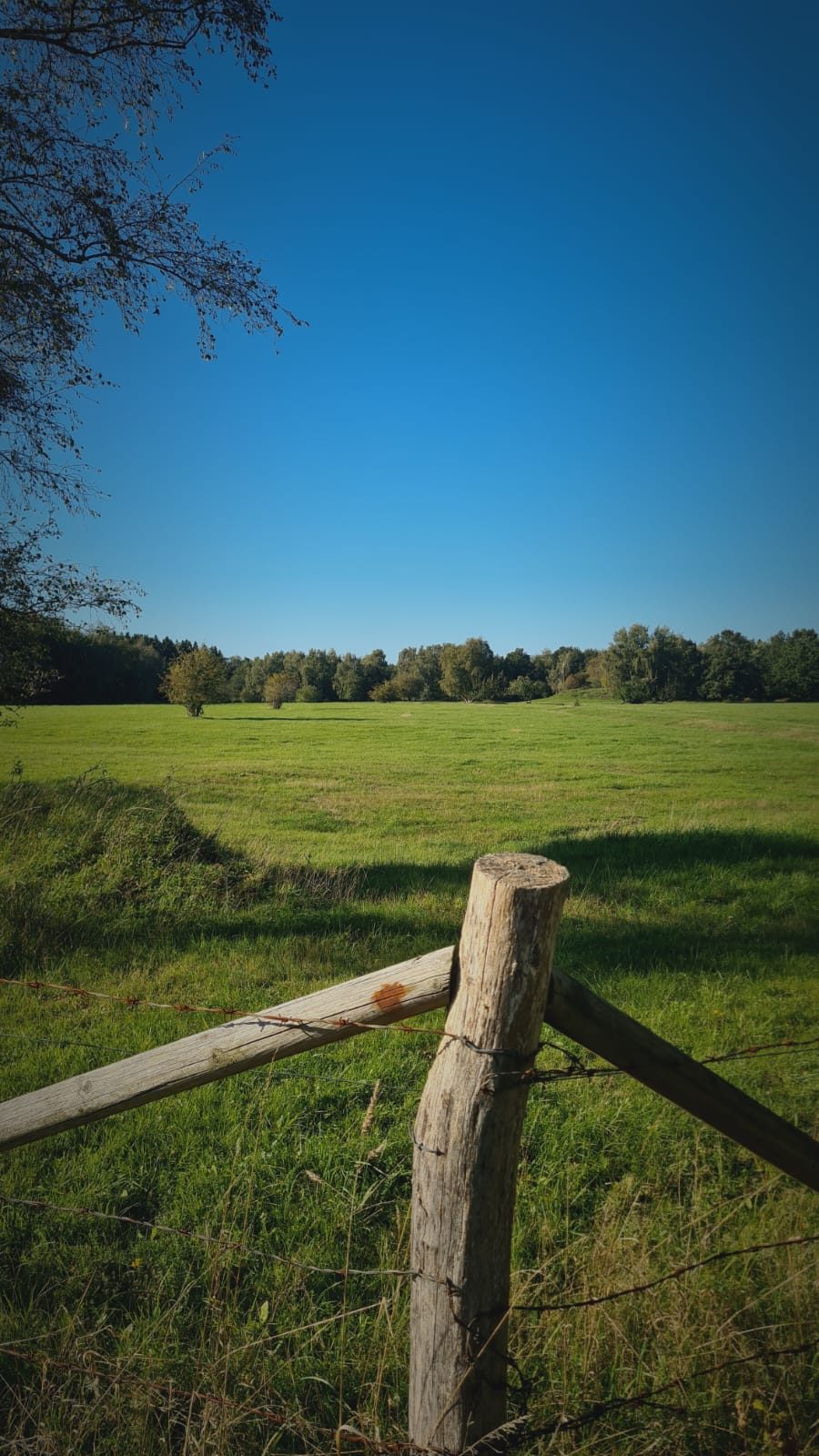 Schöner Wiesen Blick